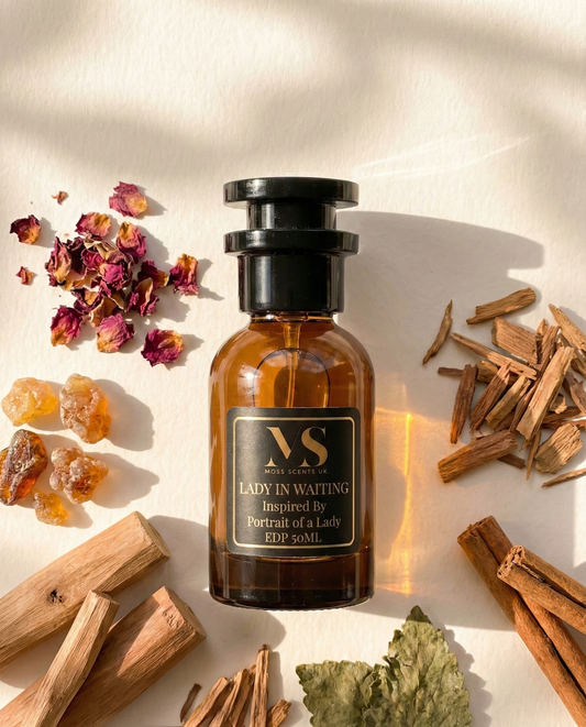 Lady in Waiting 'Inspired By' Portrait of a Lady